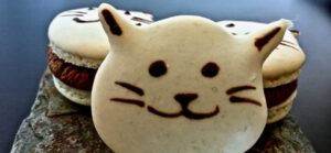 Katzen-Macarons
